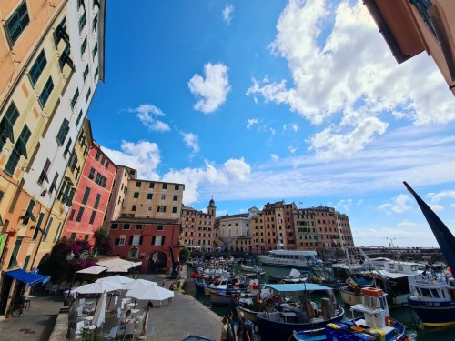 20210805_160223070e3.jpg
