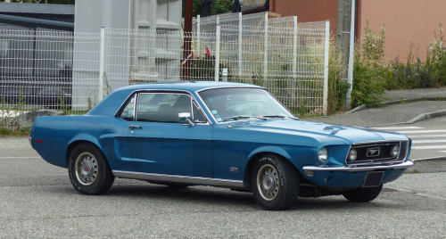 Mustang-33764f.png
