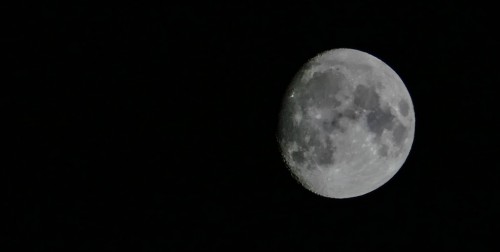 Luna-7d7804.jpg