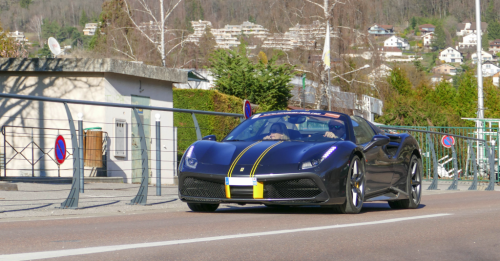 488spider34cb7.png