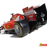 2014F14-TFernandoAlonso11a4806